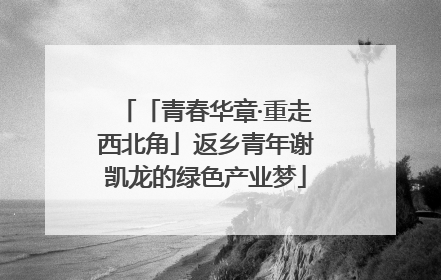 「青春华章·重走西北角」返乡青年谢凯龙的绿色产业梦